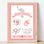 Spomen ramka za novorodence, infografik | Спомен рамка за новороденче, инфографик